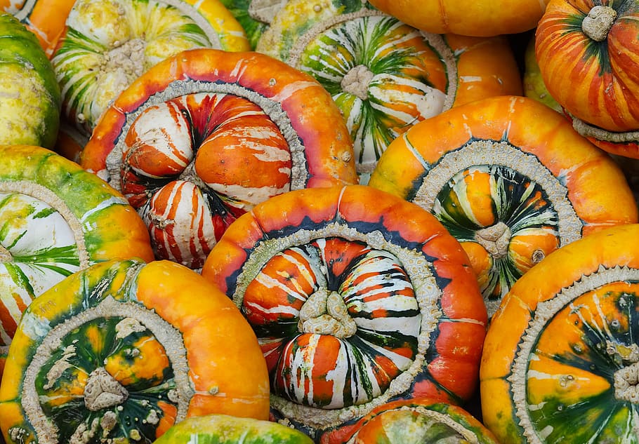 squash, turks turban, turks, turban, french turban, vegetable, autumn, fall, orange, pumpkin