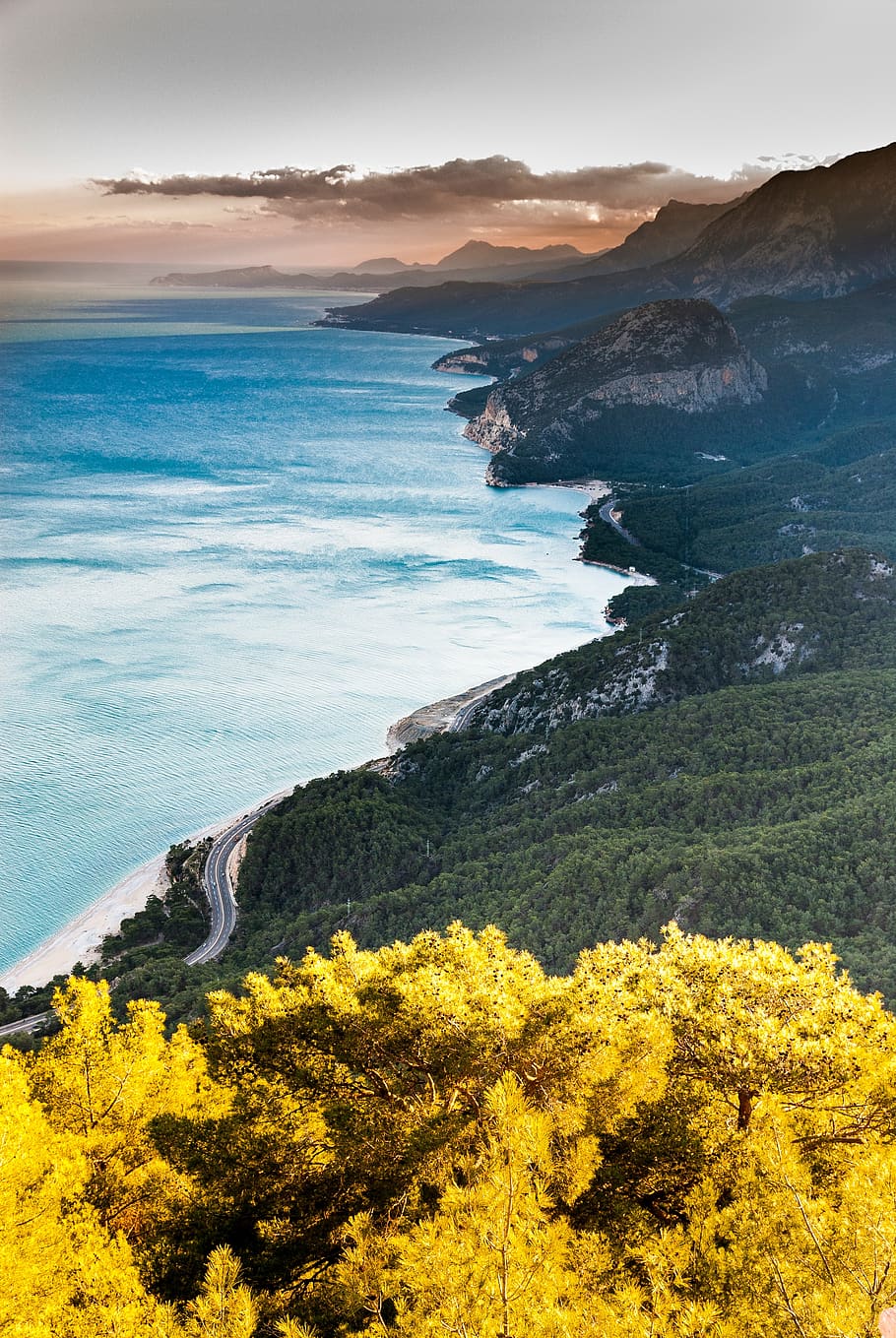 yellow, plant, trees, nature, mountain, highland, road, path, forest, sea