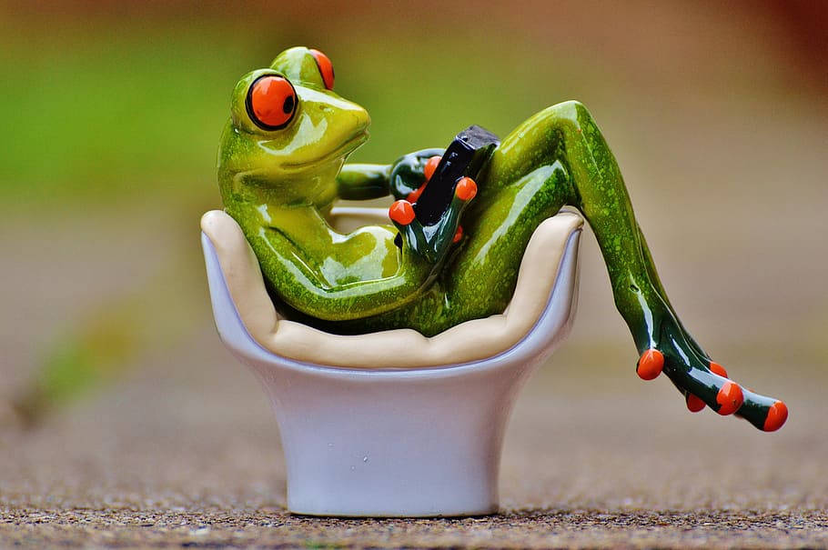 frog, chair, cozy, tablet, pc, computer, cute, sweet, funny, relaxation