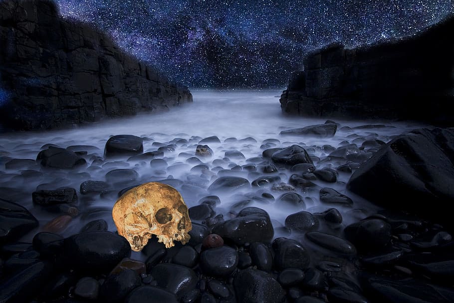 Marrón, cráneo, rocas, niebla, playa, estrellas, halloween, muerte, horror, espeluznante