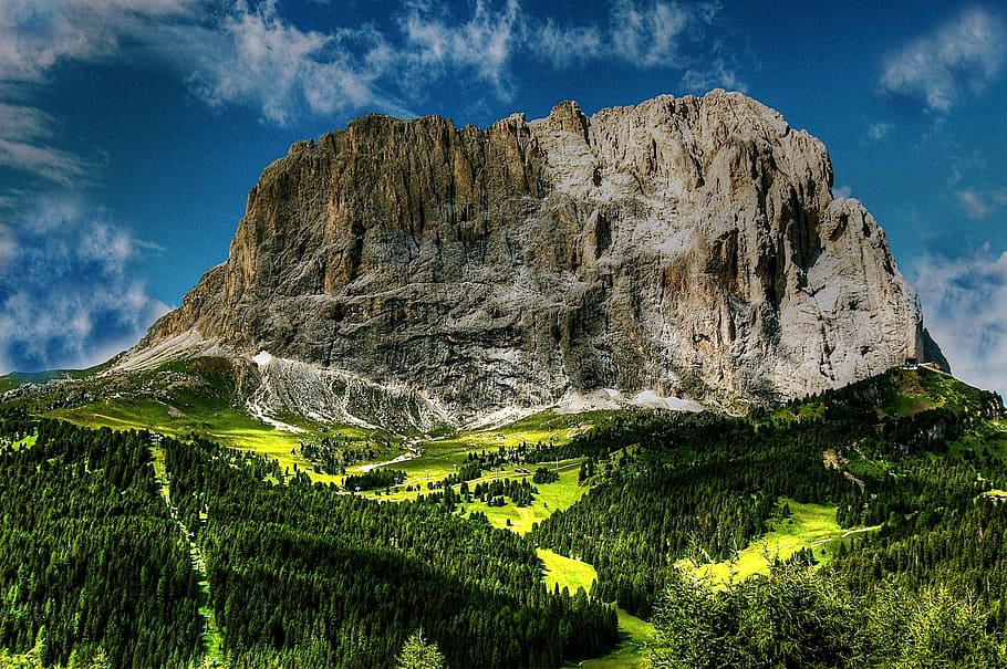 green, leafed, tree, mountain, Dolomites, Mountains, Italy, sassolungo, south tyrol, alpine