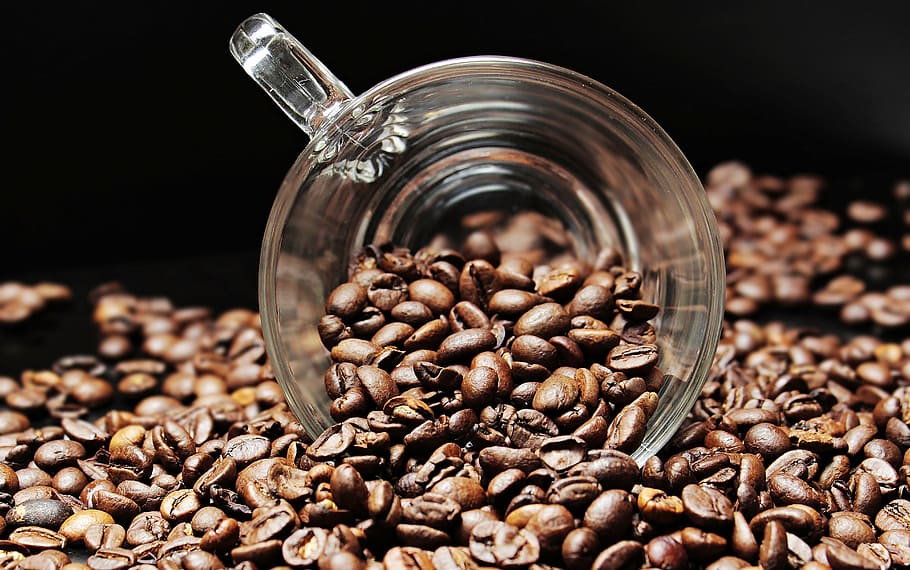 lote de grãos de café, grãos de café, xícara de café, xícara, café, prazer, grãos, cafeína, benefício, porcelana