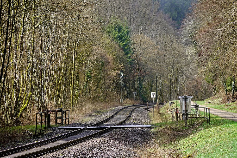 railway line, romantic, south eifel, kylltal, daufenbach, level crossing, hub, pedestrian, driveway signal, track phone