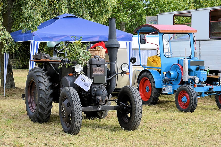 lanz-bulldog, tractor, viejo, históricamente, viejo tractor, viejo contador de tiempo, máquina agrícola, transporte, vehículo terrestre, modo de transporte