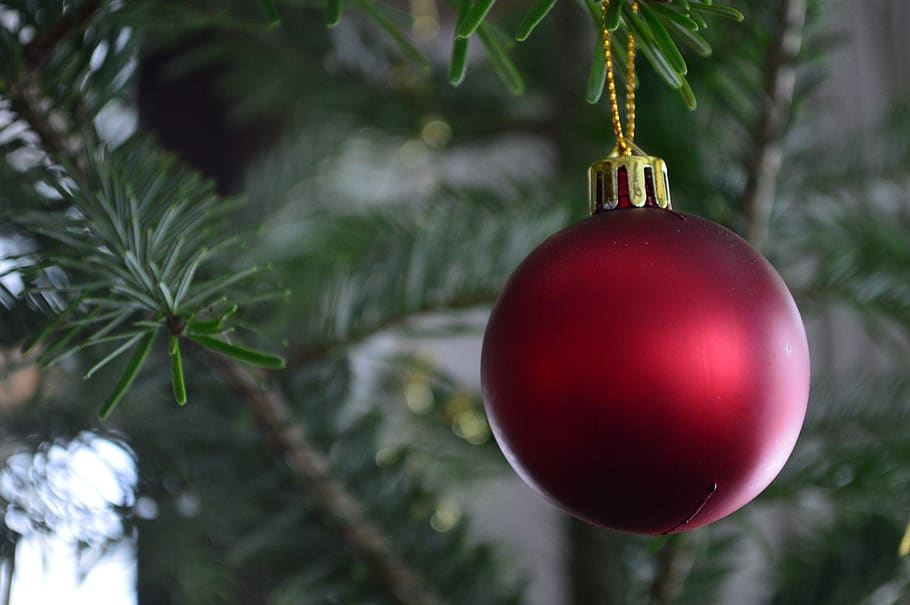 hari Natal, Natal perhiasan, merah, weihnachtsbaumschmuck, bola, waktu Natal, ornamen natal, Natal ornamen, tergantung, kedatangan