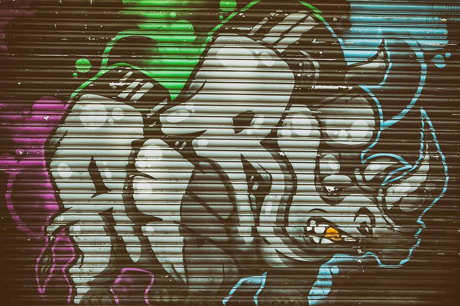 urbano, representando, rinoceronte, grafite, arte de rua, planos de fundo, resumo, iluminado, pessoas, adulto jovem