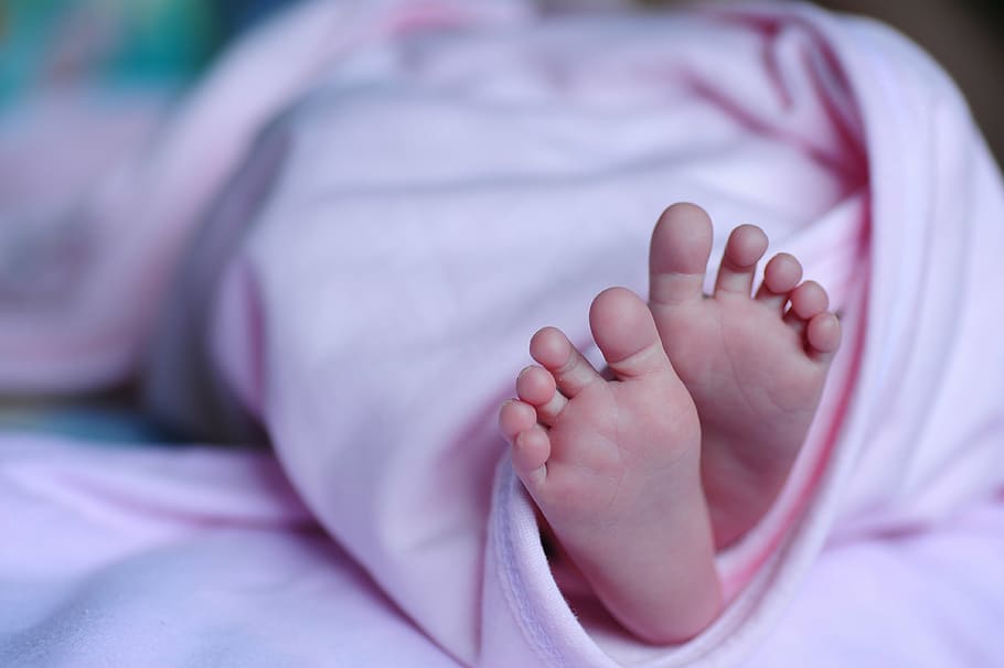 幼児, 覆われた, ピンク, 毛布, 赤ちゃん, 足, 新生児, 子供, 皮膚, 小さい