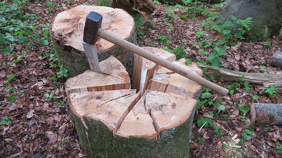 martillo, cincel, tocón de árbol, cuña, madera cortada, segmentos de árbol, kreissekmente, división, madera partida, leña