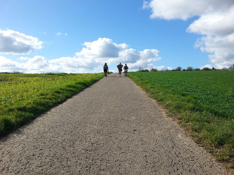 three, person, walking, pathway, grass, daytime, Hiking, Walk, Road, Tar