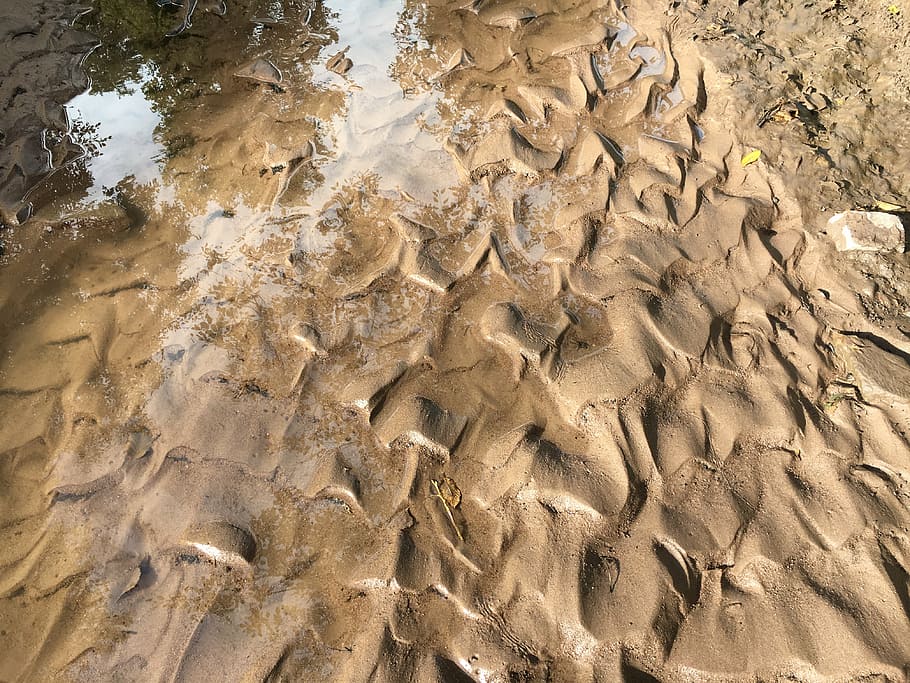 riverbed, creek, creek bed, fractals, river sand, stream, water, waterway, agua, arizona