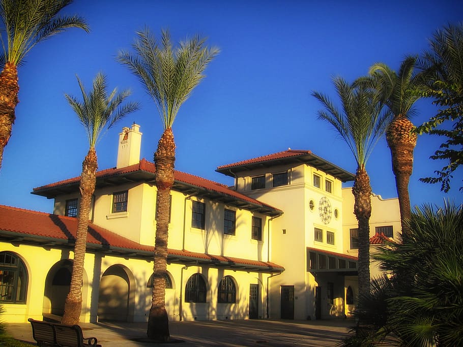 fresno, california, train station, palms, palm trees, building, architecture, sunny, tropical climate, built structure