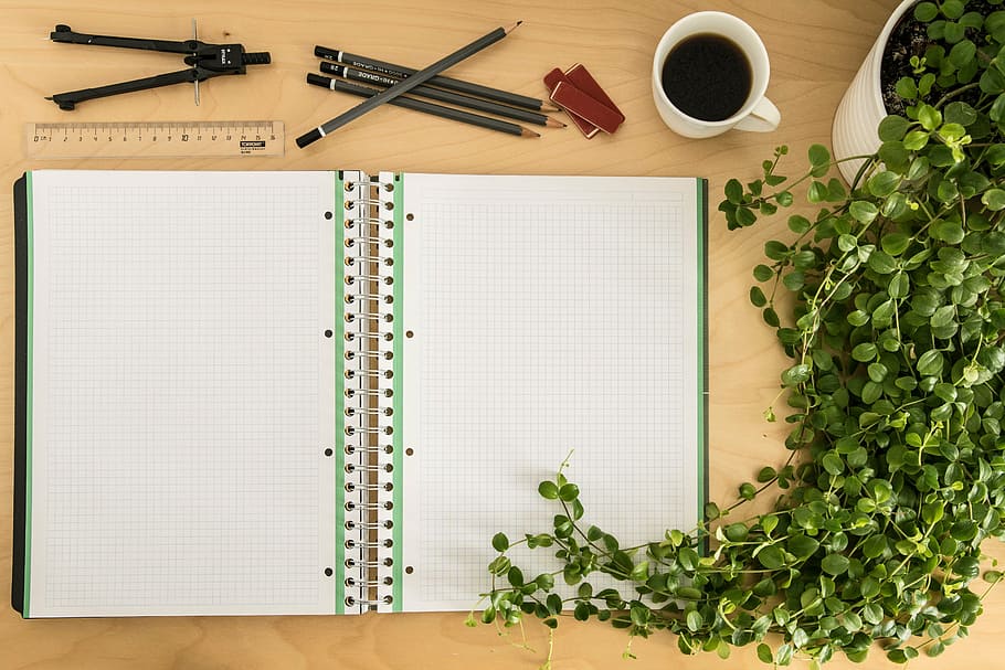 white, green, graphing notebook, notes, notebook, leave, book, paper, learn, study