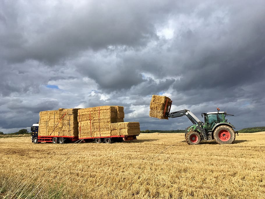 tractor, harvest, straw, bales, storm, agriculture, arable, transportation, mode of transportation, land vehicle