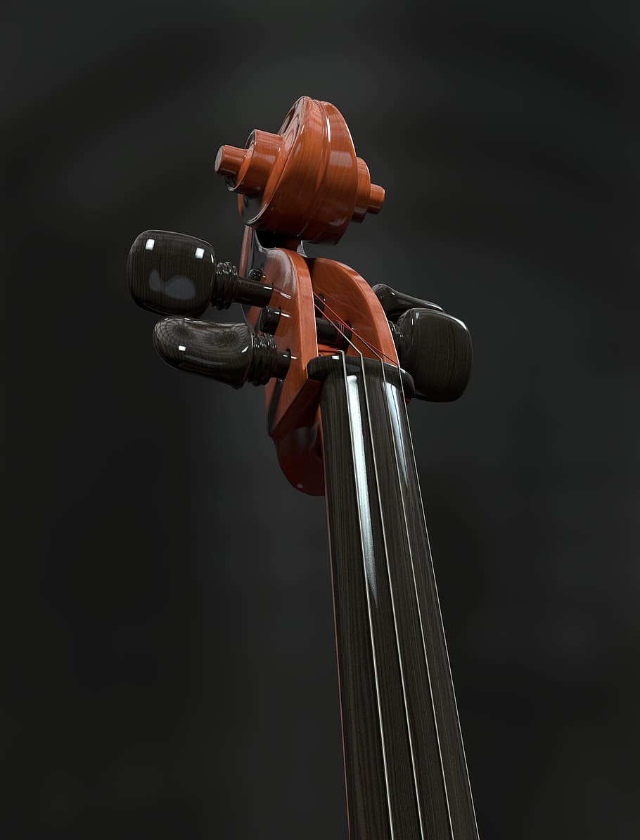 brown, black, violin, cello, strings, stringed instrument, detail, neck, snail, wood