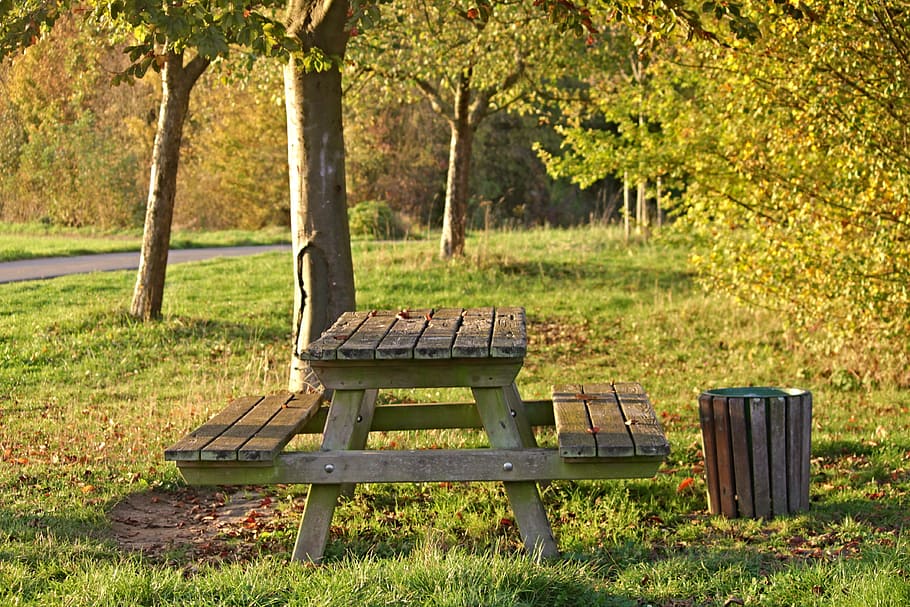 brown, wooden, picnic table, bank, resting place, forest, seat, rest, nature, rest area bank