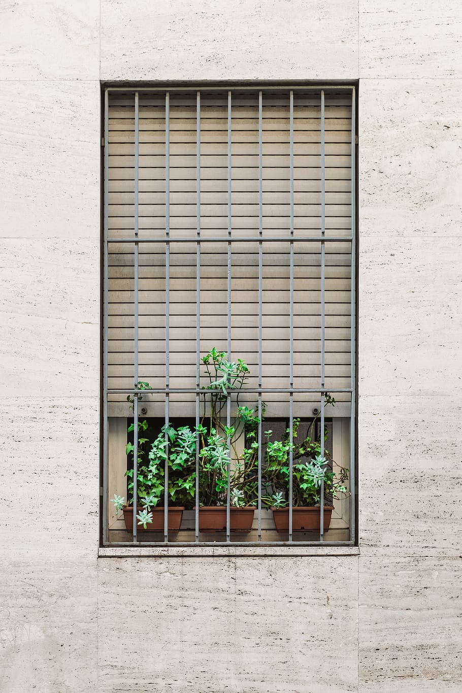 symmetry, aesthetics, windows, grills, plants, garden, pot, green, wall, architecture