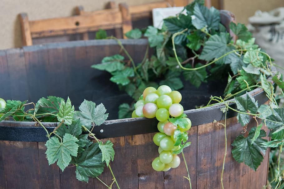 grape fruit, wooden, bucket, wine-presses, wine, grapes, press, fruit, vine, cultivation