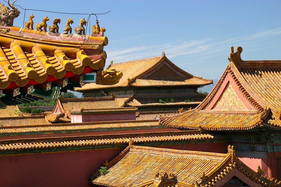 brown, red, buildings, daytime, roof, china, dragon, architecture, beijing, palace