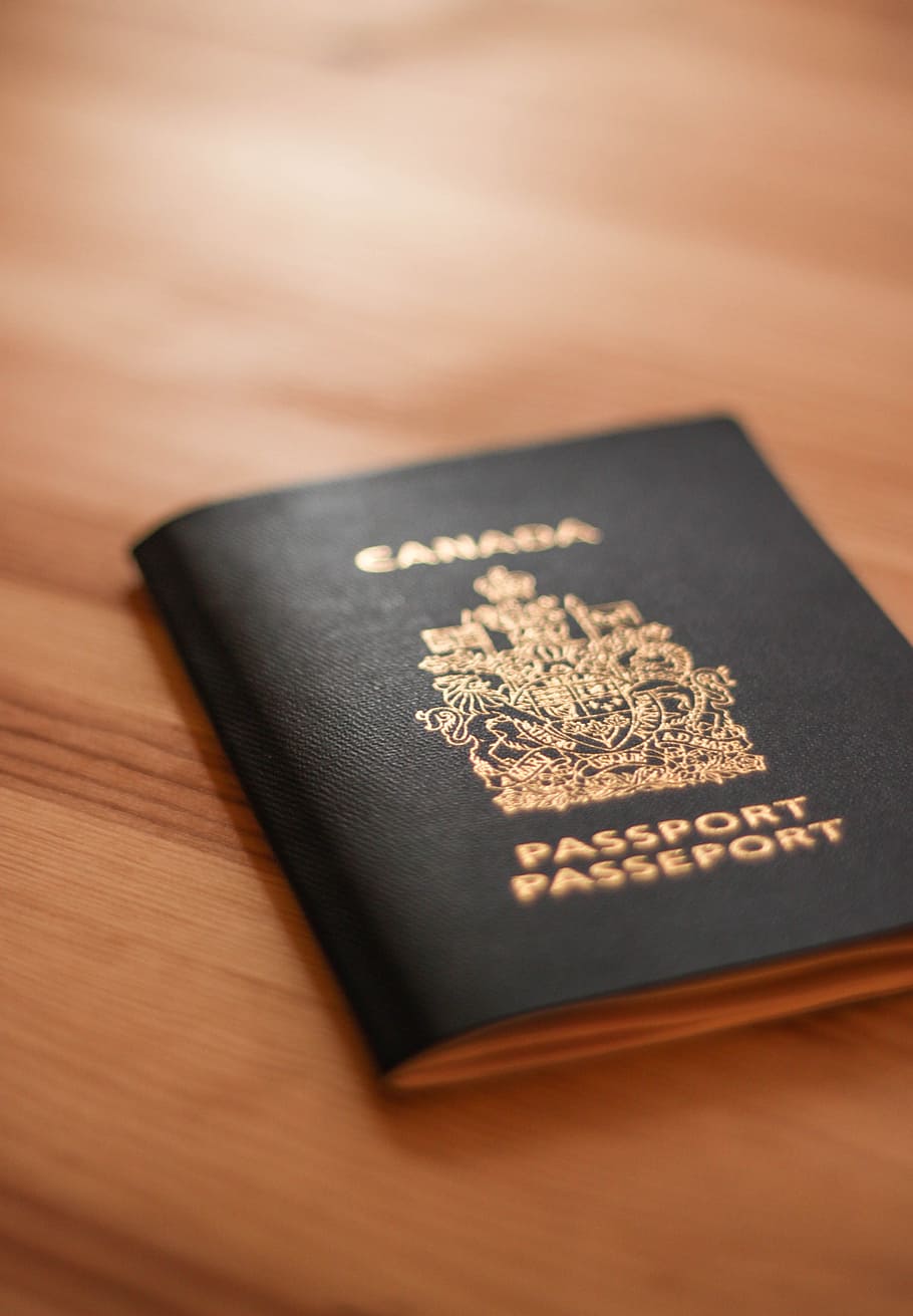 canada passport, passport, canada, document, identification, canadian, travel, vacation, tourism, customs