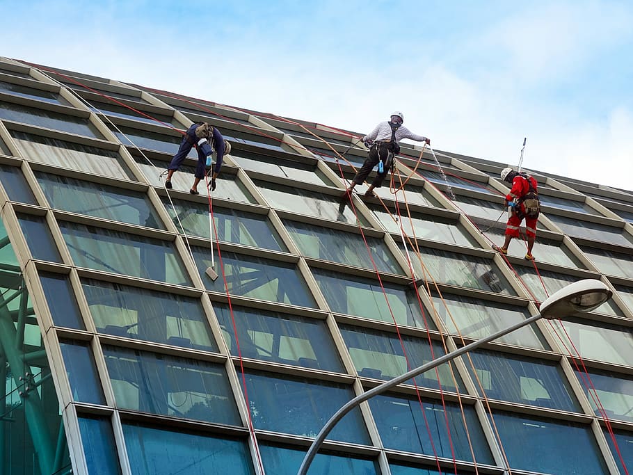 three, men, cleaning, glass, wall, building, Rappelling, Rope, Safety, Security