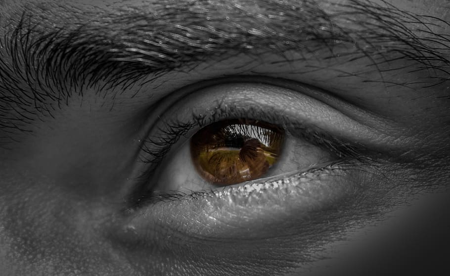 ojos, globo ocular, ceja, pupila, vista, ojo humano, ojo, parte del cuerpo humano, parte del cuerpo, percepción sensorial