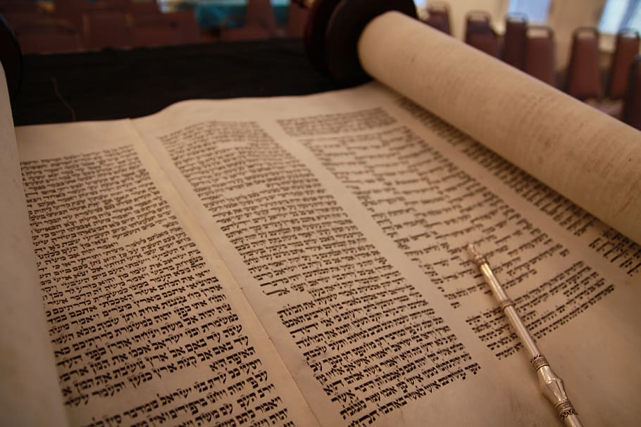 torá, pergaminho, israel, judeu, religião, sinagoga, livro, publicação, texto, papel