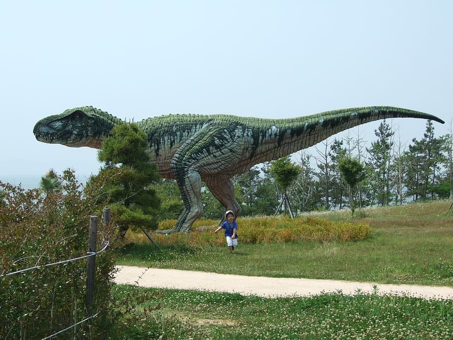 museo de dinosaurios, dinosaurios, herbívoros, carnívoros, planta, césped, árbol, color verde, longitud completa, día