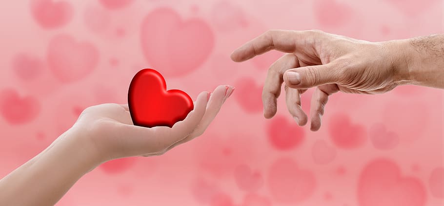 persona, mano, tenencia, ilustración del corazón, corazón, día de San Valentín, amor, rojo, romántico, sentimientos