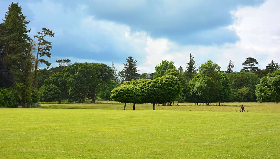 Jardín inglés, parque, parklandschaft, área verde, prado, árboles, cielo, ciclistas, nubes de lluvia, clima