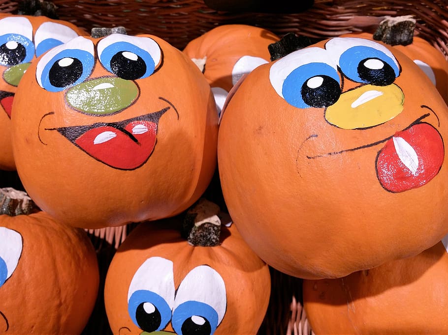 pumpkin, autumn, decorative squashes, gourd, halloween, dare, vegetables, crop, harvest festival, farmer's market