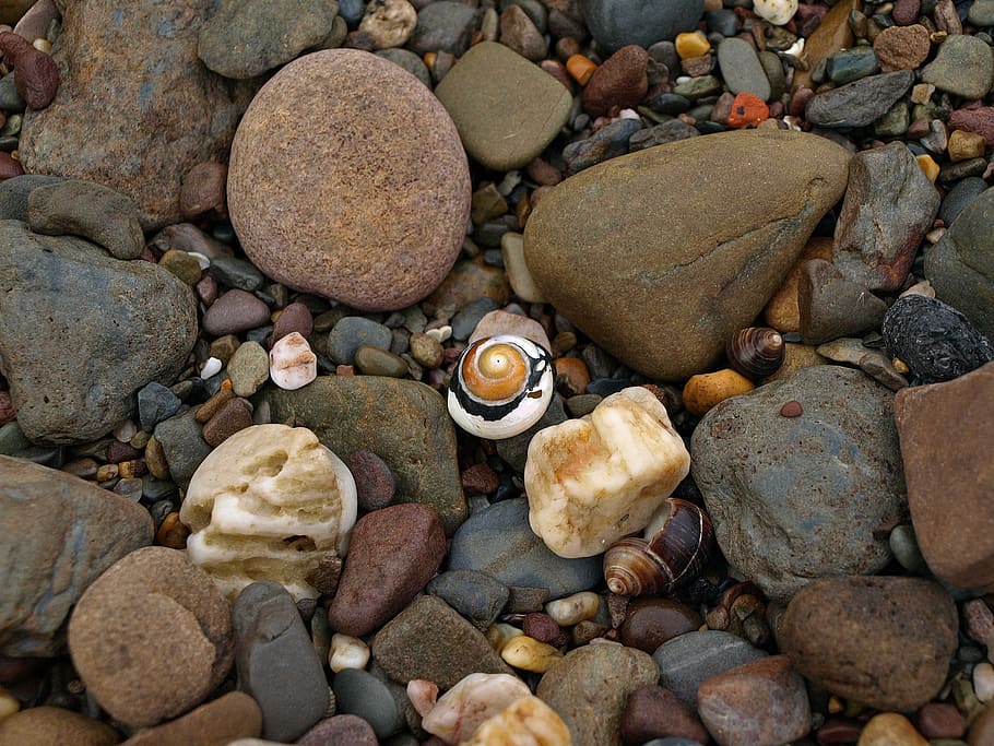 snail, shell, spiral, stones, pattern, colorful, harmonious, hidden, search, to find