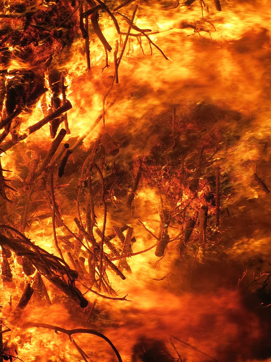 ardente, madeira, digital, papel de parede, fogo, conflagração, fogo da páscoa, destruição, natureza, árvore