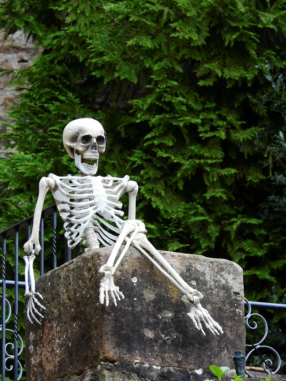 skeleton, sitting, rock, daytime, frame, bone, death, live, human, sit