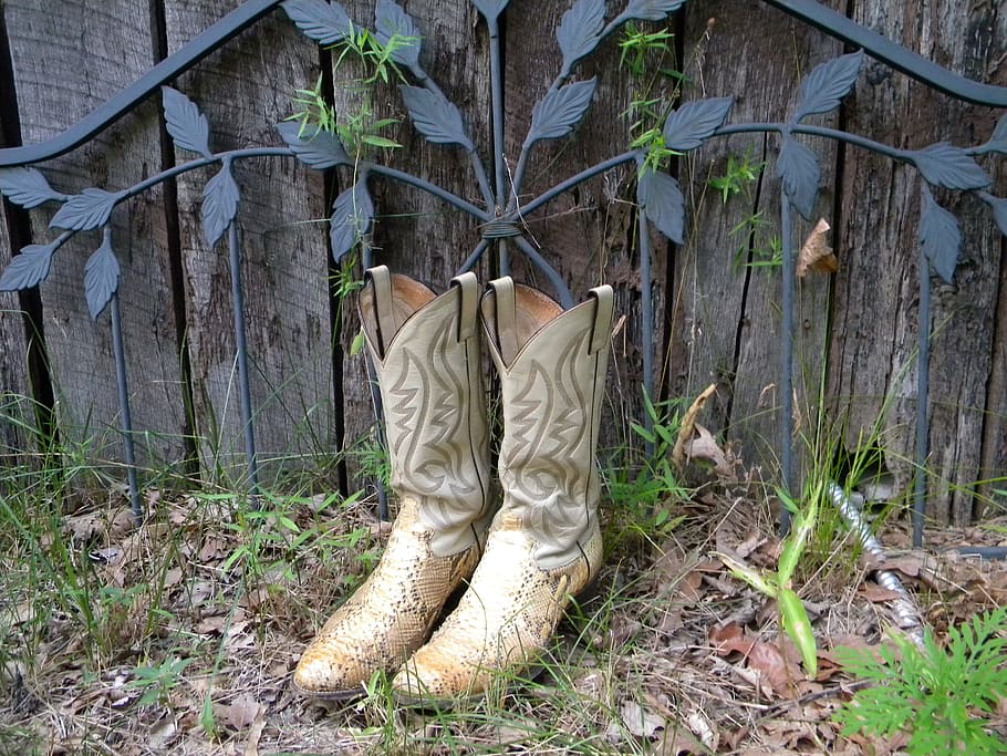 pair, white, Cowboy Boots, Boots, Boots, Garden, boots, boot, cowboy, leather, western
