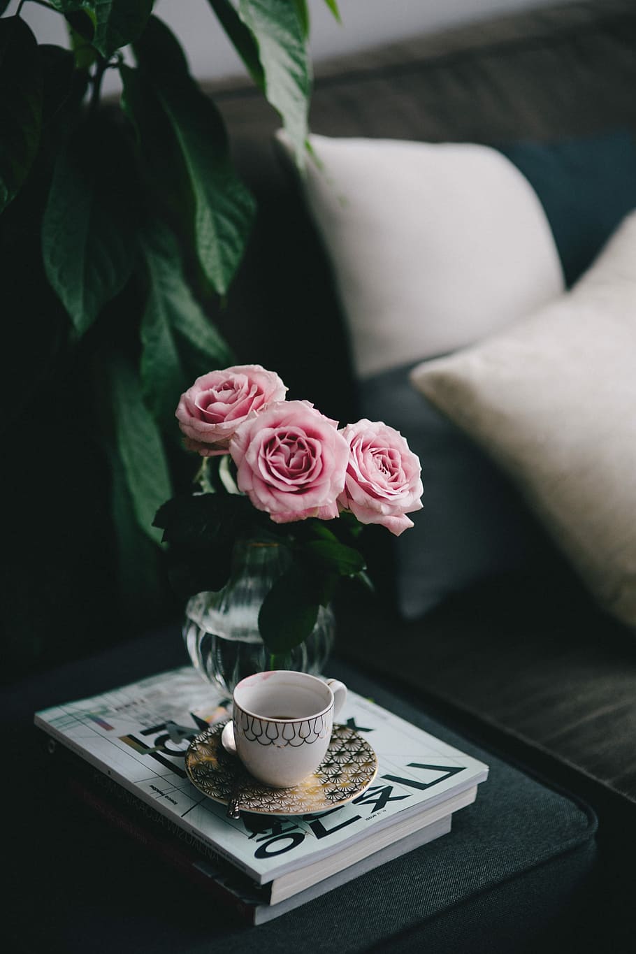adorável, roseses, livro, café, rosa, rosas, interior, descanso, relaxar, essencial