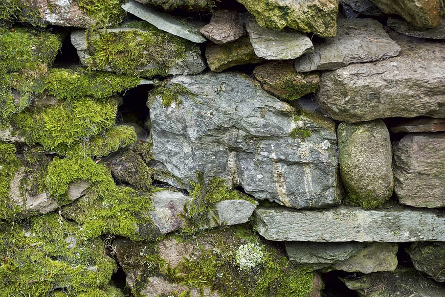 muro de piedra, musgo, textura, roca, liquen, piedra, estructura, superficie, natural, viejo