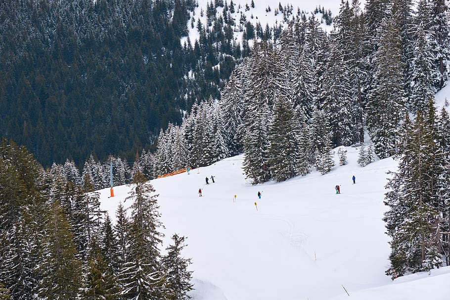 esquí, pista, tobogán, vacaciones, invierno, montañas, nieve, alpino, füssen, allgäu