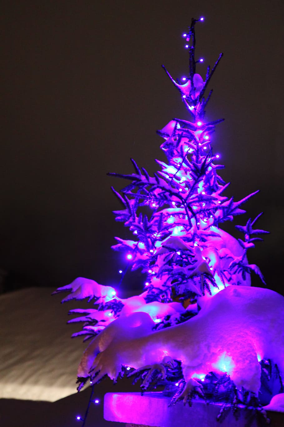 purple, led, light, christmas tree, inside, room, Christmas, Decoration, Festive, Glow, christmas