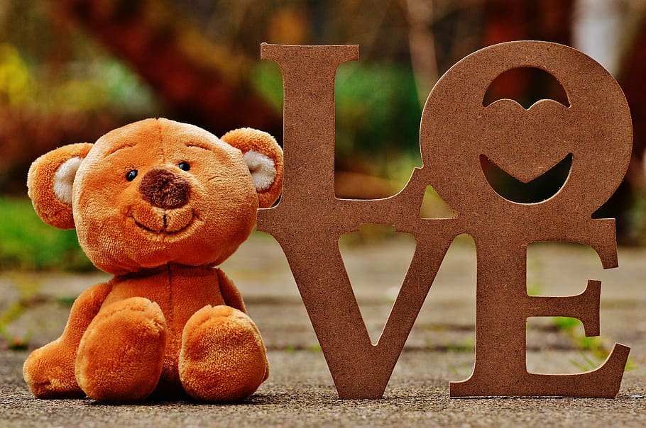 brown, bear, freestanding decor, teddy, love, miss, soft toy, stuffed animal, brown bear, children