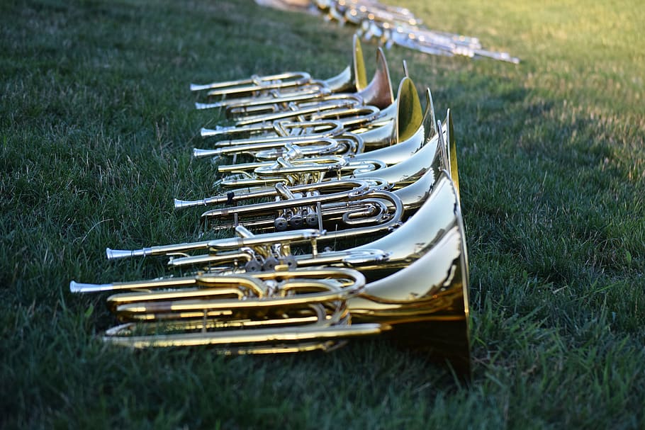 music, musical instruments, horns, brass, band, marching, grass, field, selective focus, plant