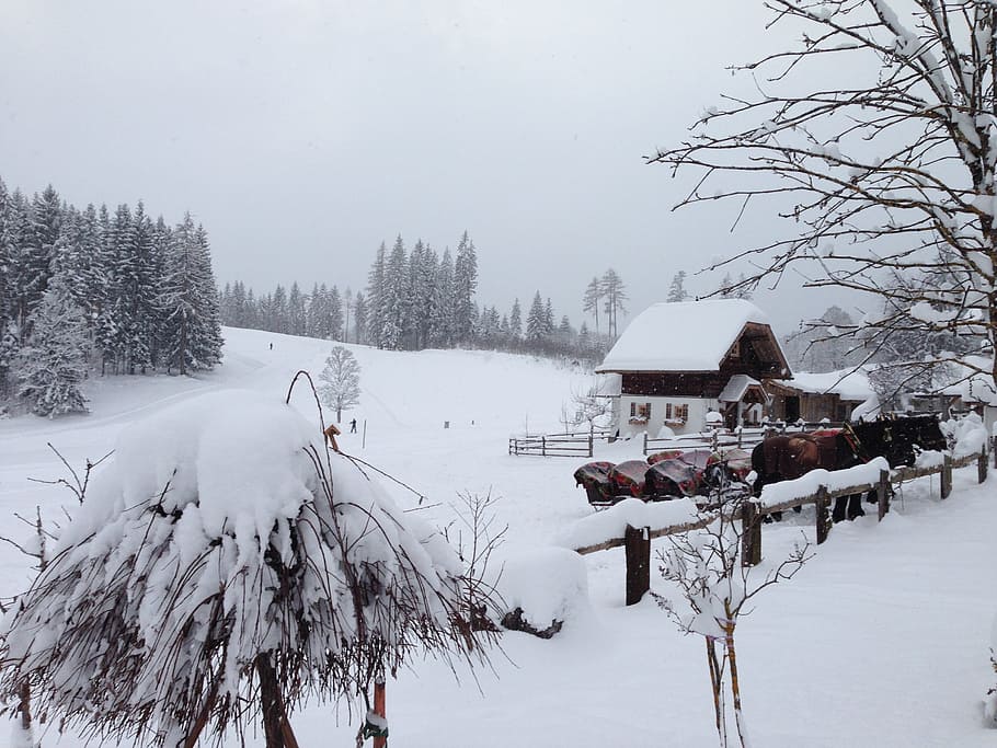 Austria, Styria, Ramsau, Dachstein, winter, snowfall, mountains, landscape, white, snow