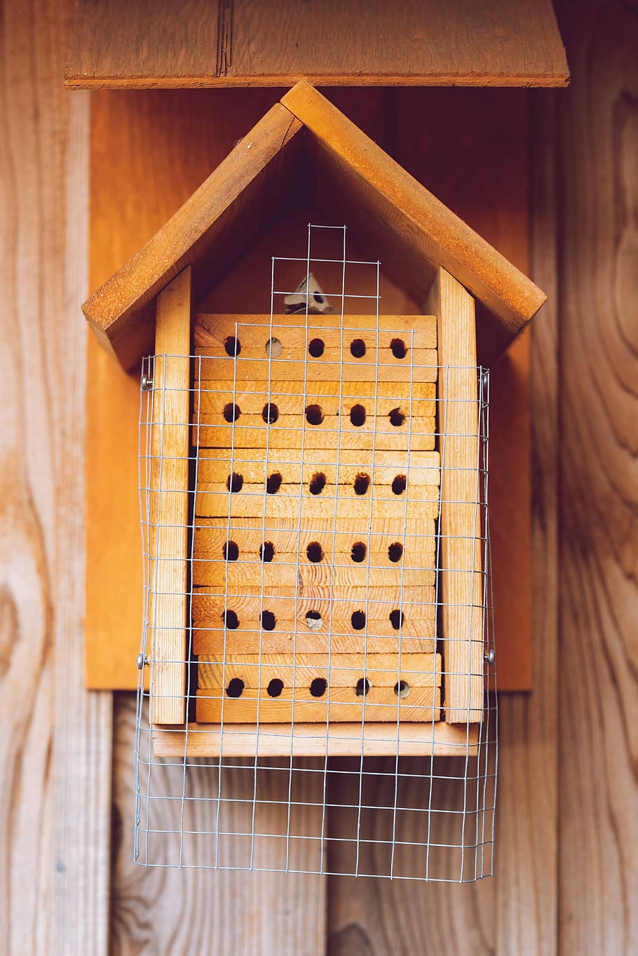 insect house, bee hotel, solitary bees, wild, wood, wooden home, solitary hive, bc, canada, protection