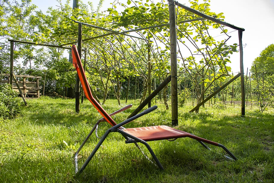 relaxation, garden, campaign, green, nature, natural, tranquility, calm, chairs, holidays