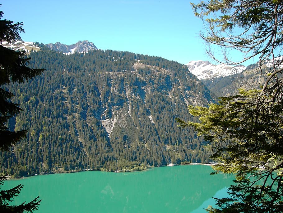 haldensee, water, green, blue, tannheim, tyrol, mountains, alpine, mountain, tree
