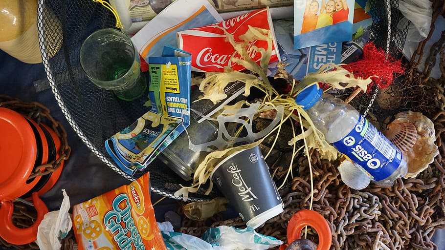 arriba, ver foto, surtido, etiquetado, botellas, basura, mar, playa, residuos, contaminación
