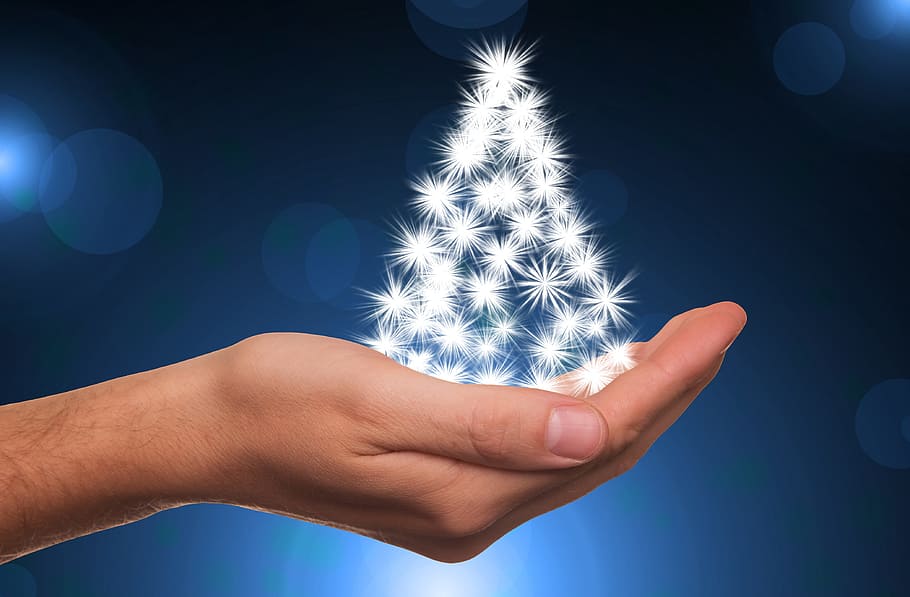 person, holding, white, miniature, christmas tree, christmas, star, gloss, lights, light