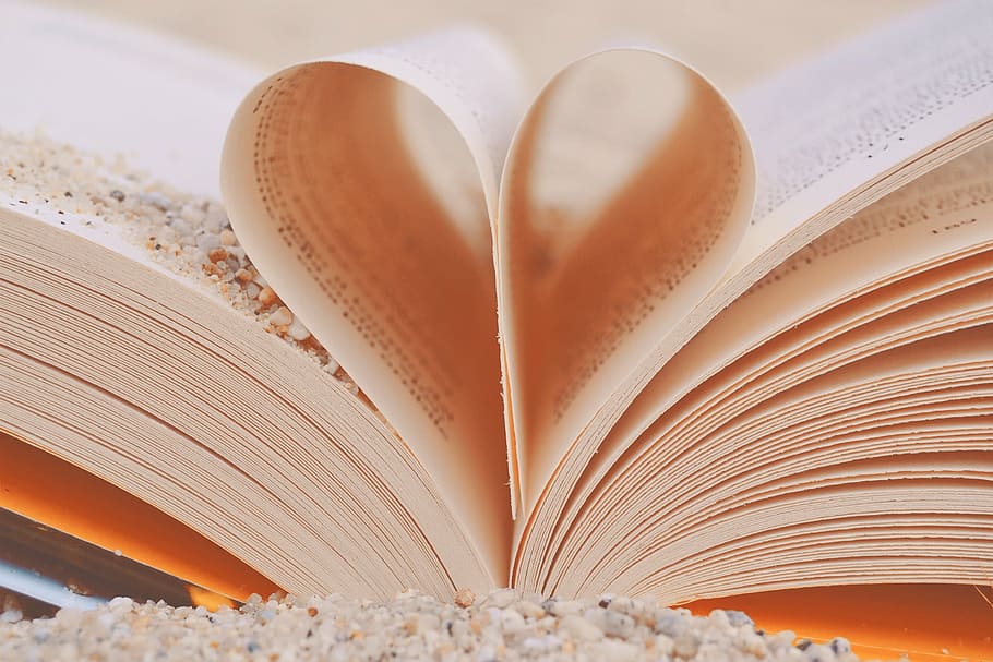 seni buku putih, buku, hati, cinta, biji-bijian, pasir, laut, membaca, jatuh cinta, solidaritas