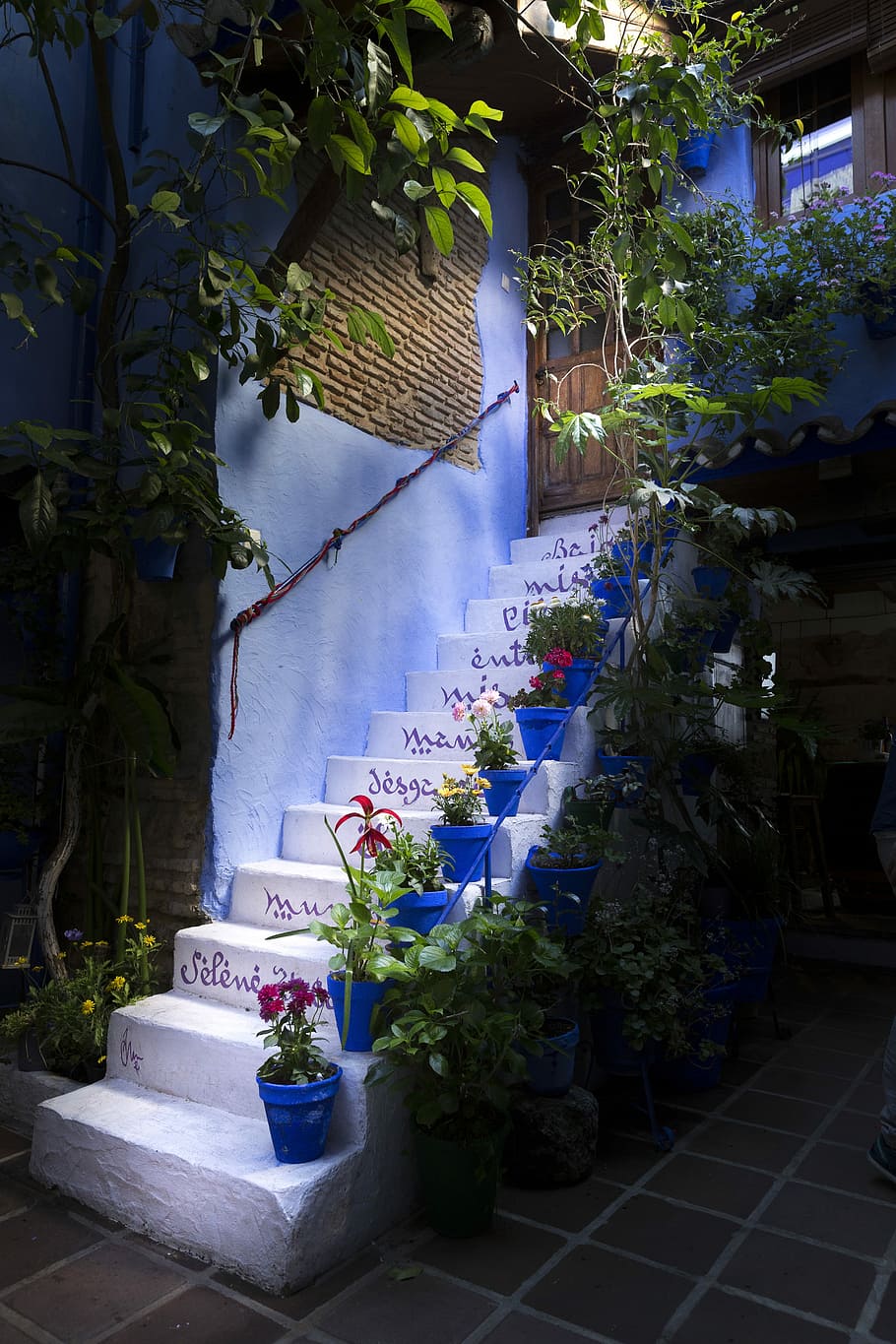 Ladder, Plants, Patios, De Córdoba, Córdoba, Spain, patios de córdoba, spain, flowers, flowerpot, cordoba