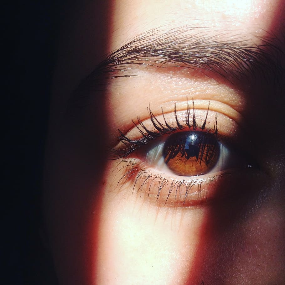 olho, marrom, sol, parte do corpo humano, parte do corpo, olho humano, cílios, visão, close-up, uma pessoa