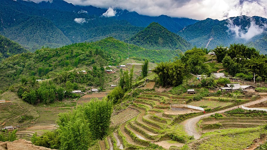 terrazas de arroz, sapa, lao cai, vietnam, montaña, paisaje, pintorescos - naturaleza, planta, agricultura, medio ambiente